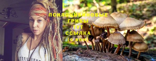прущий лед Козельск