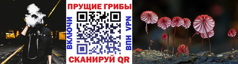 Галлюциногенные грибы мицелий  Асбест 