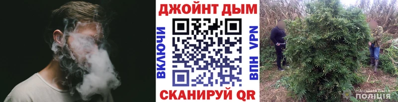 где можно купить   Асбест  Канабис планчик 